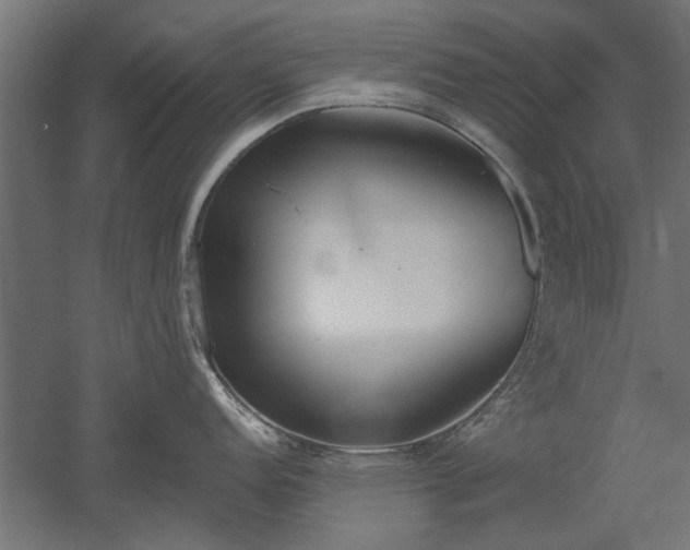 X0000051921152200507011553