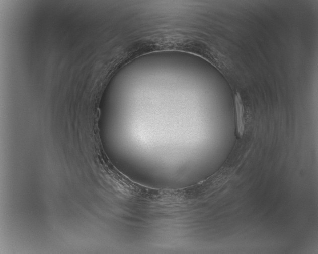 X0000051921153200507011552
