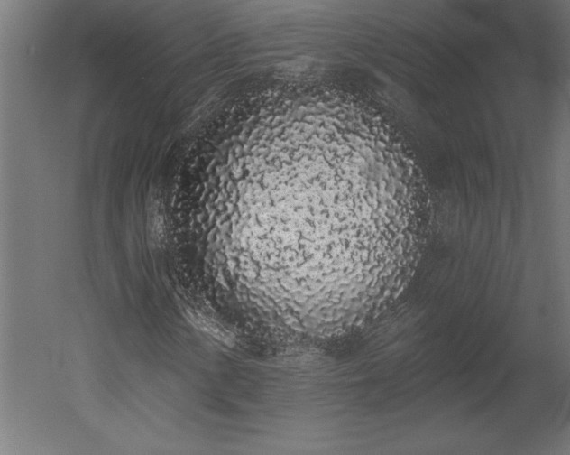X0000051921154200507011552
