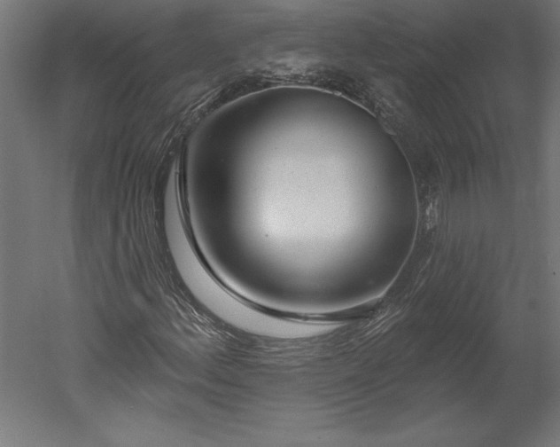 X0000051921156200507011552