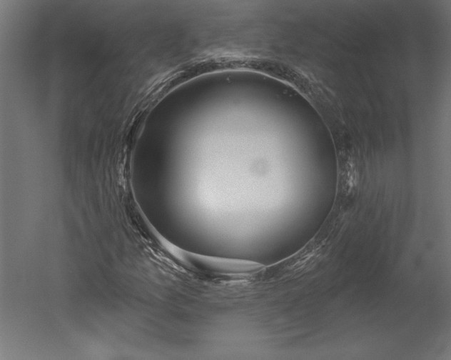 X0000051921157200507011552