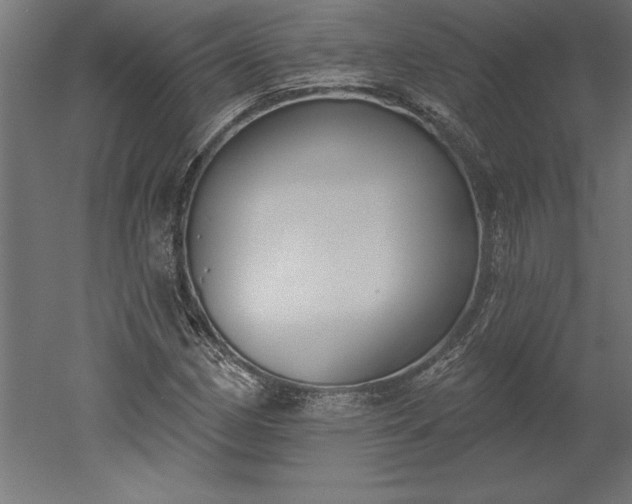 X0000051921162200507011552