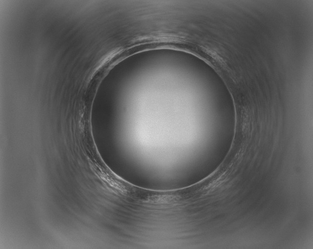 X0000051921163200507011552