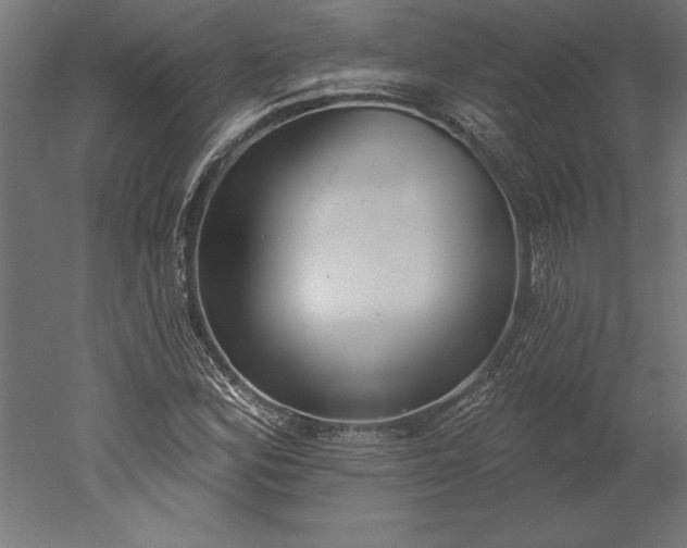 X0000051921164200507011552