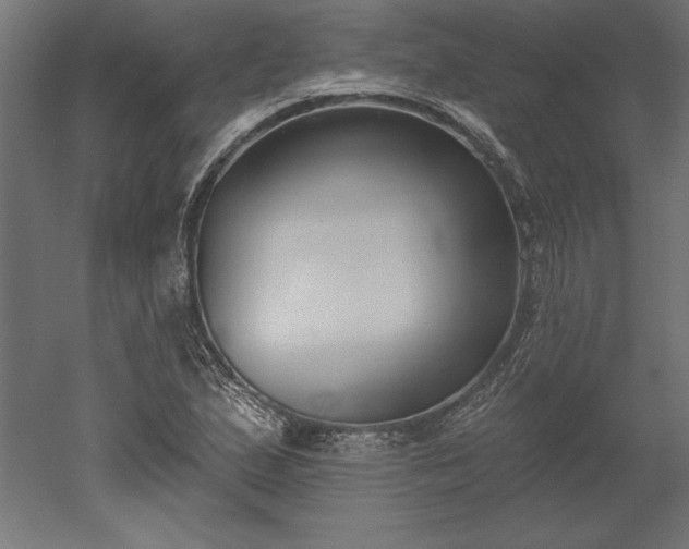 X0000051921167200507011552