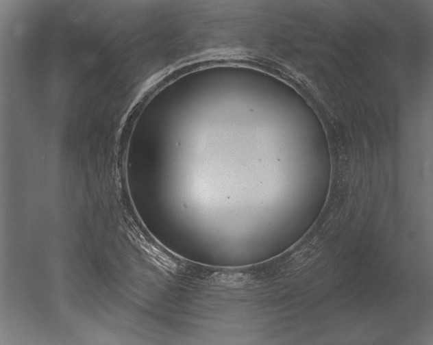 X0000051921168200507011552