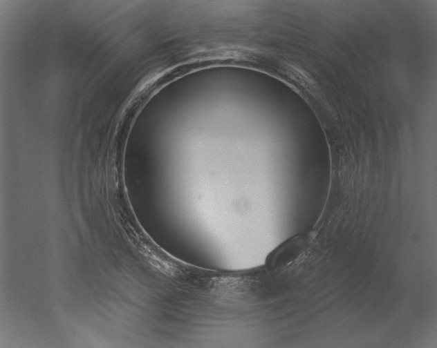 X0000051921172200507011552
