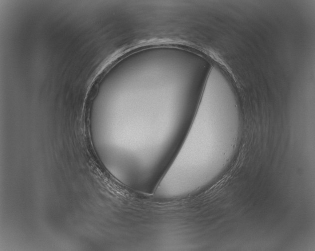 X0000051921173200507011552