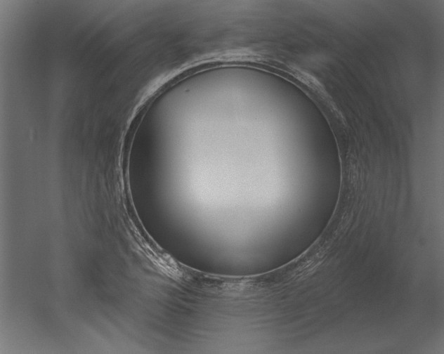 X0000051921176200507011552