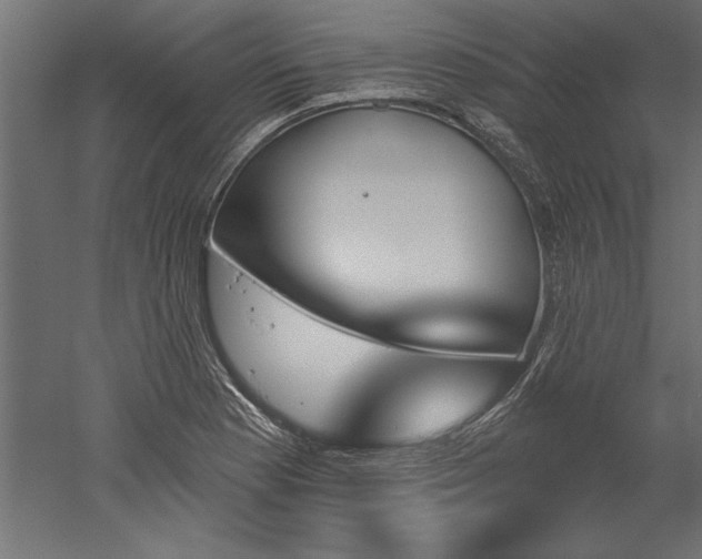 X0000051921177200507011552