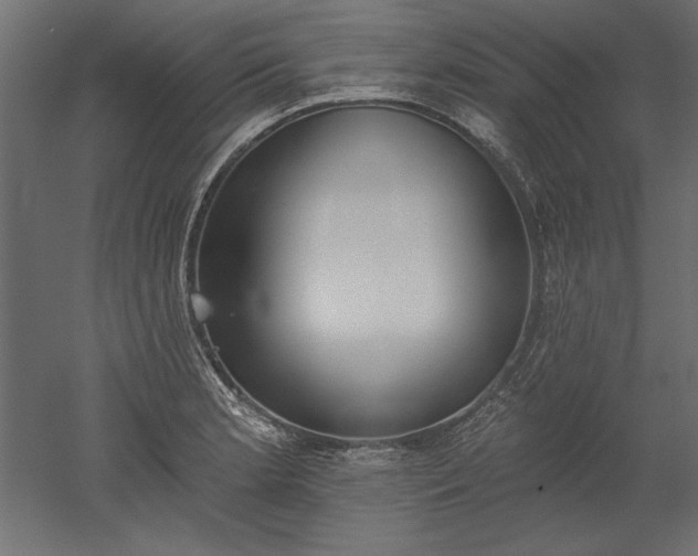 X0000051921181200507011552