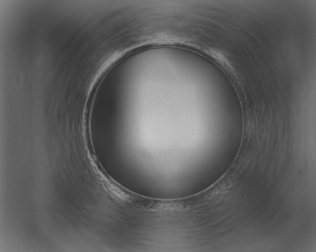 X0000051921183200507011552