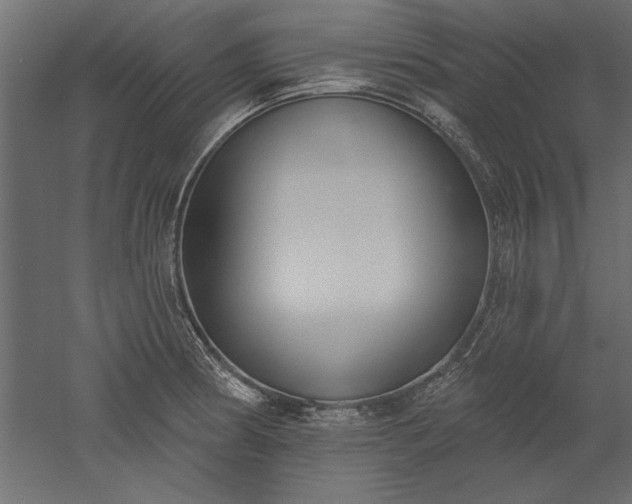 X0000051921186200507011552