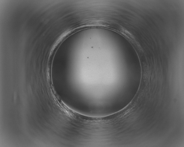 X0000051921188200507011552