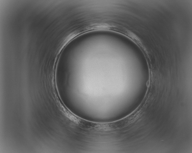X0000051921194200507011551