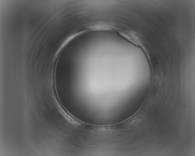 X0000051921195200507011551
