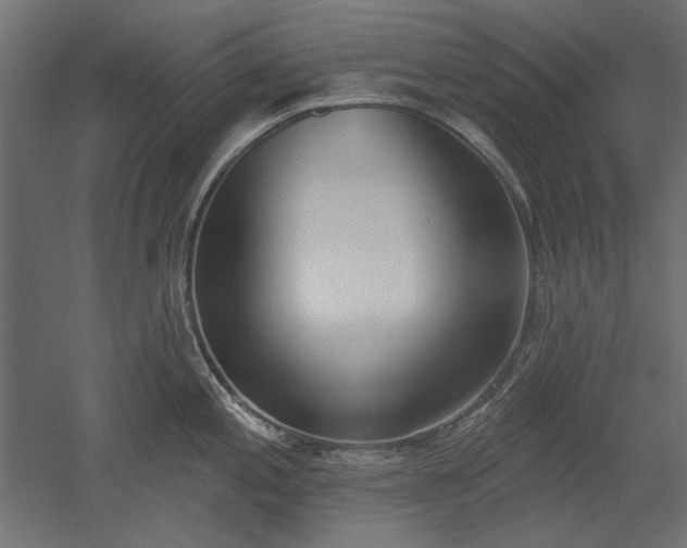X0000051921197200507011551