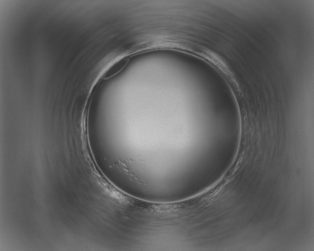 X0000051921198200507011551