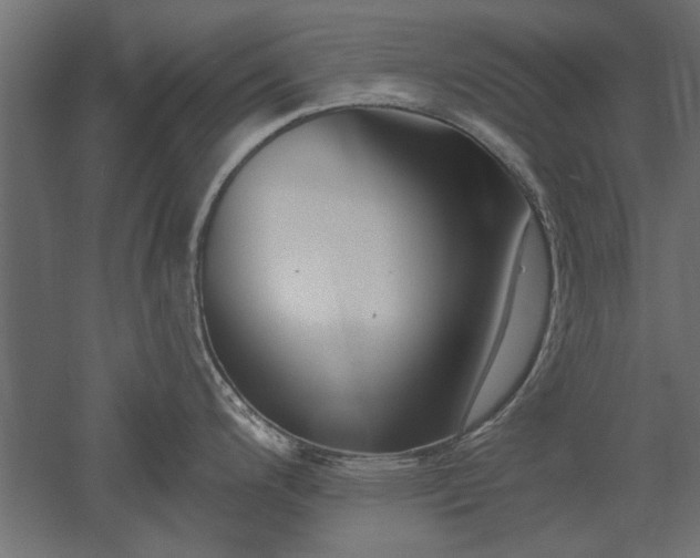 X0000051921200200507011551