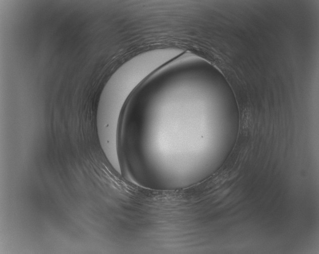 X0000051921202200507011551