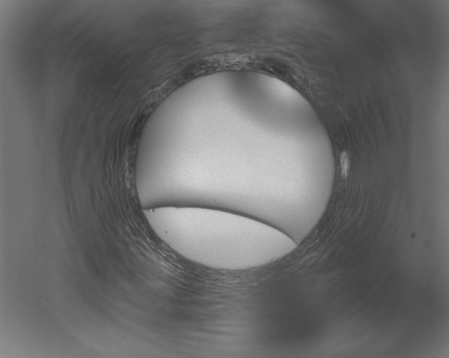 X0000051921203200507011551