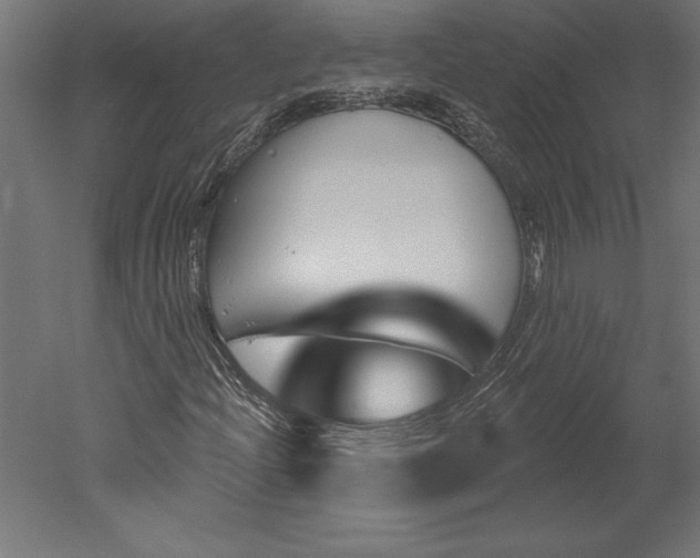 X0000051921204200507011551