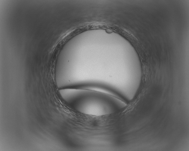 X0000051921207200507011551