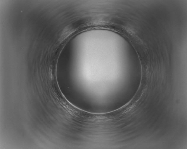 X0000051921209200507011551