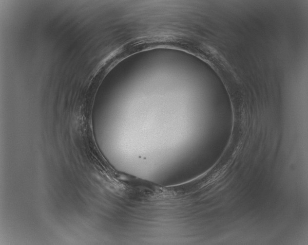X0000051921210200507011551