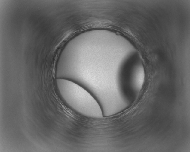 X0000051921211200507011551