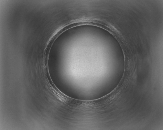 X0000051921216200507011551