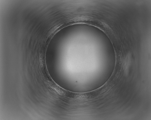 X0000051921217200507011551
