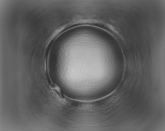 X0000051921221200507011551