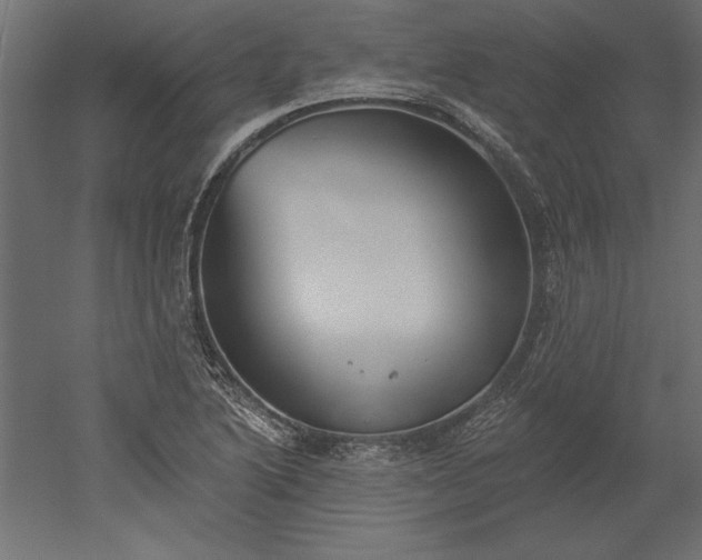 X0000051921222200507011551