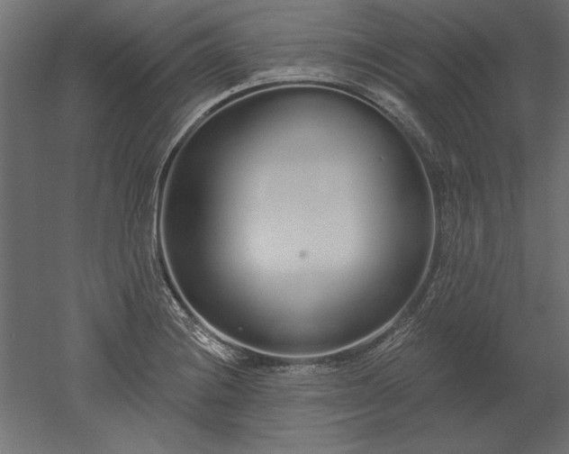 X0000051921228200507011551