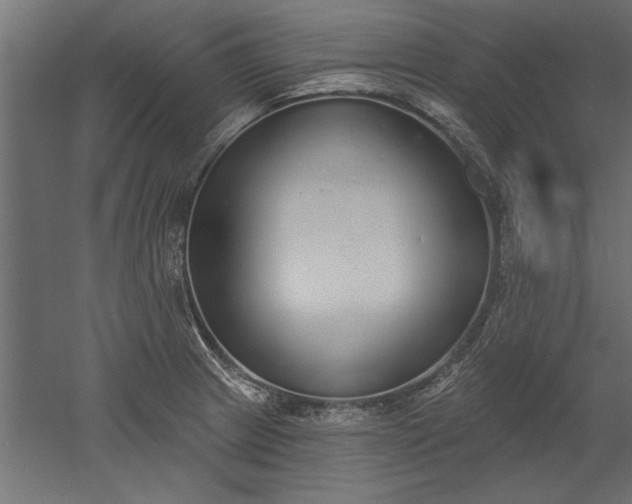 X0000051921233200507011551