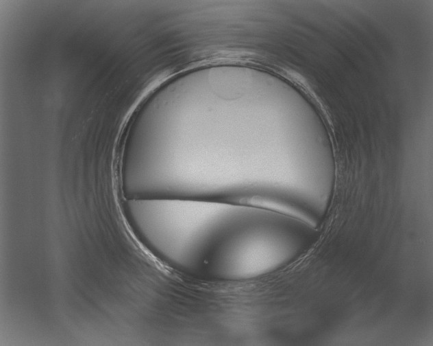 X0000051921235200507011551