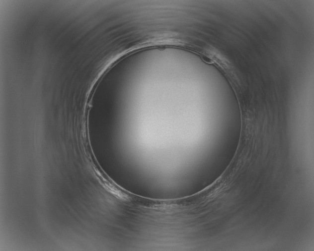 X0000051921236200507011551