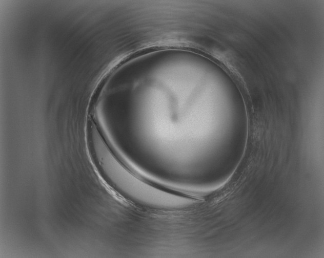X0000051921237200507011551