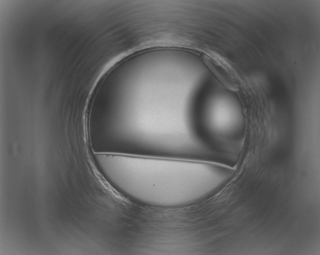 X0000051921238200507011551