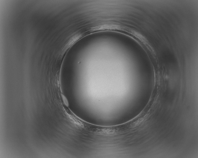 X0000051921241200507011551