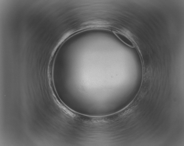 X0000051921243200507011551