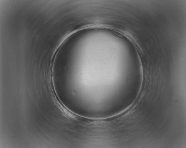 X0000051921244200507011551