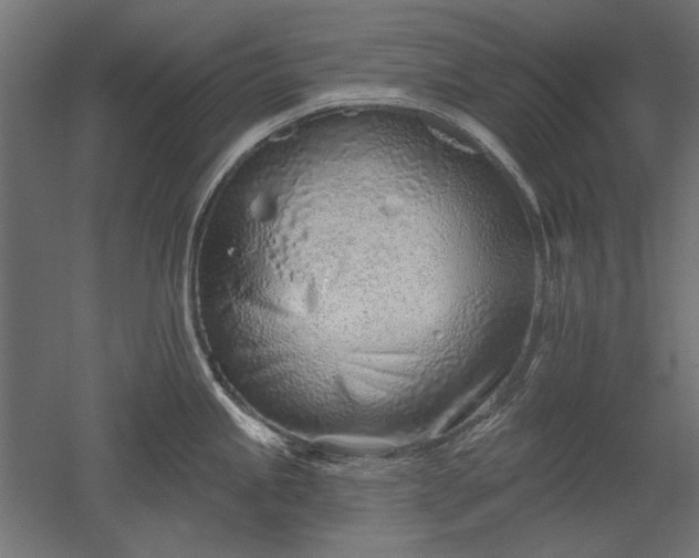 X0000051921245200507011551