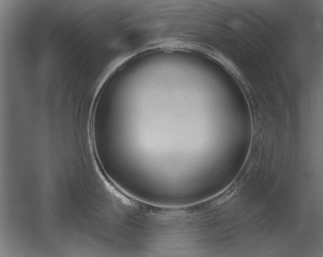 X0000051921247200507011551