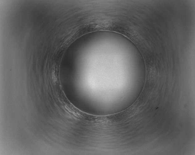 X0000051921250200507011550
