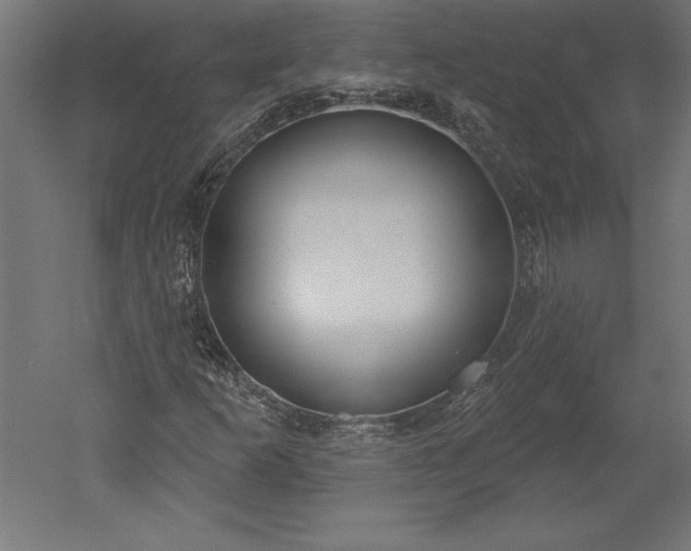 X0000051921253200507011550