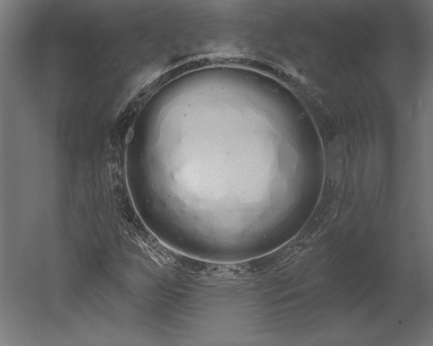 X0000051921255200507011550