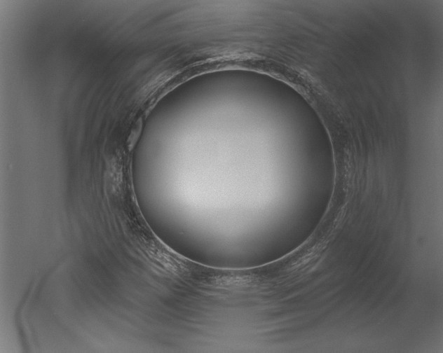 X0000051921257200507011550