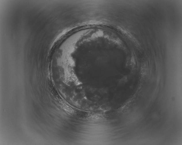 X0000051921262200507011550